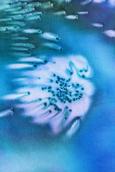 Similar image 7859071