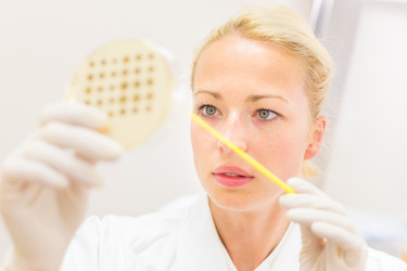 Similar image 7859436