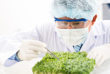 Similar image 7859474