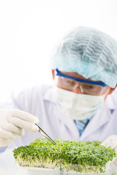 Similar image 7859475