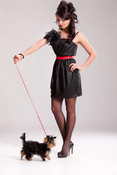 Similar image 7860377