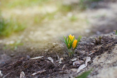 Similar image 7860694