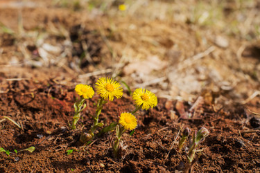 Similar image 7860705