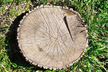 Similar image 7860727