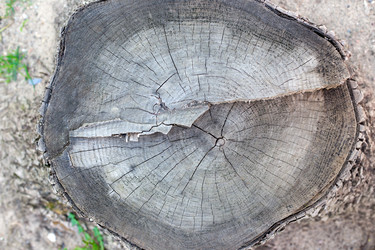 Similar image 7860728