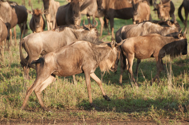 Similar image 7860819