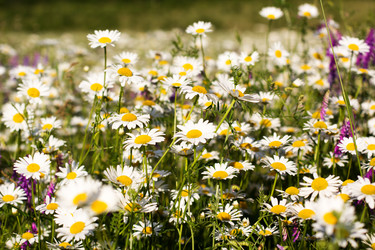 Similar image 7861561