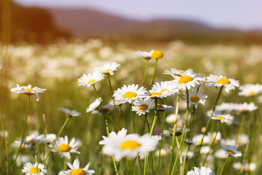 Similar image 7861563