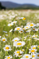 Similar image 7861564