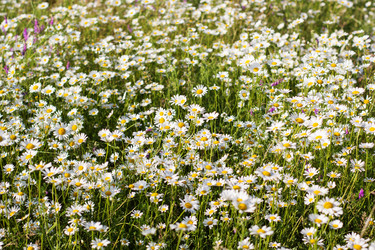 Similar image 7861565