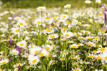 Similar image 7861568