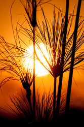 Similar image 7861575