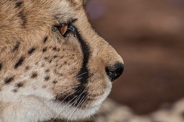 Similar image 7861576