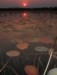 Similar image 7861578