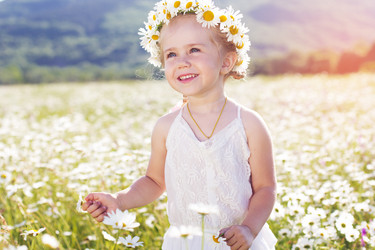 Similar image 7861654