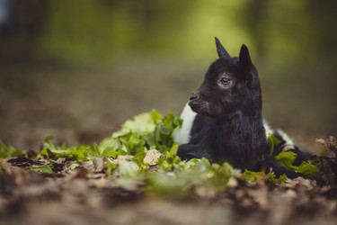 Similar image 7862134