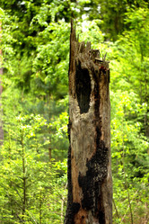 Similar image 7862179