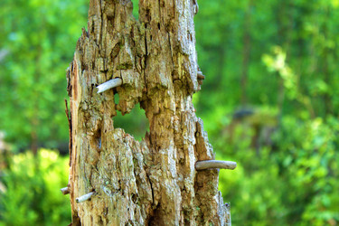 Similar image 7862191