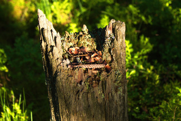 Similar image 7862192