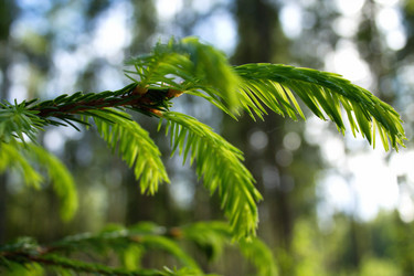 Similar image 7862195