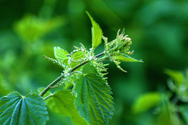 Similar image 7862196