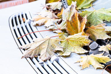 Similar image 7862210