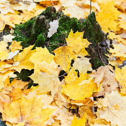 Similar image 7862215