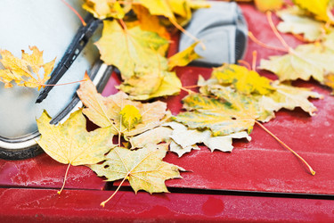 Similar image 7862218