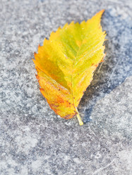 Similar image 7862225