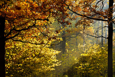 Similar image 7862237