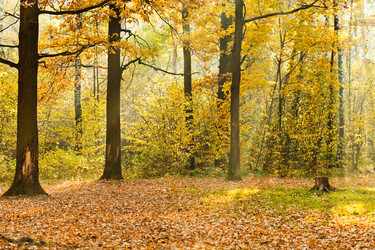 Similar image 7862242