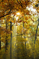 Similar image 7862246