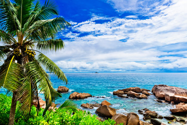 Similar image 7862256