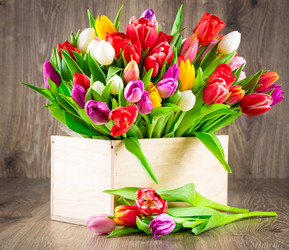 Similar image 7862263