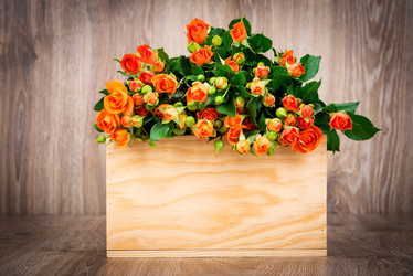 Similar image 7862271