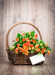 Similar image 7862272