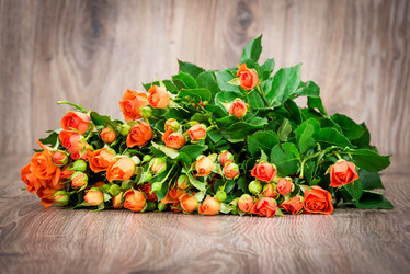 Similar image 7862278