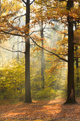 Similar image 7862288