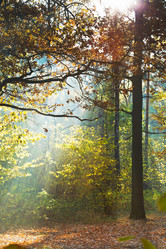 Similar image 7862289