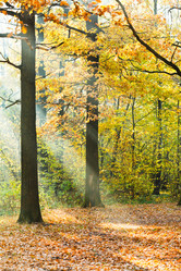 Similar image 7862291