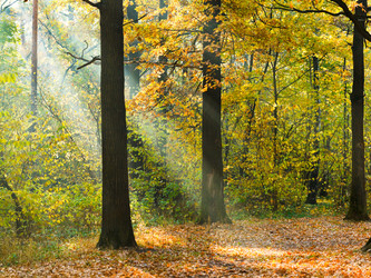 Similar image 7862293