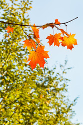 Similar image 7862294