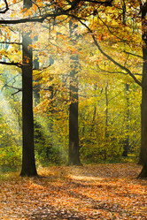 Similar image 7862295