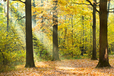 Similar image 7862298