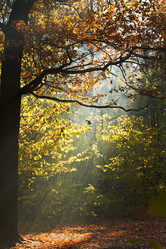 Similar image 7862300