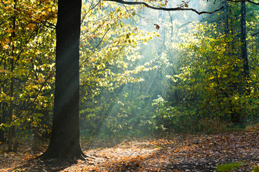 Similar image 7862303