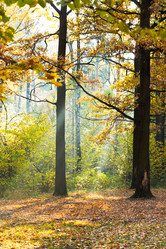 Similar image 7862308