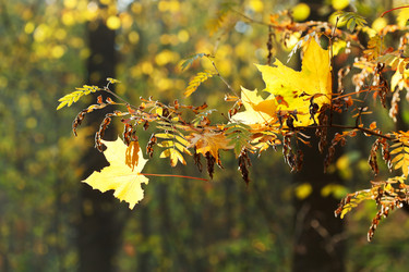 Similar image 7862310