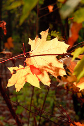 Similar image 7862312