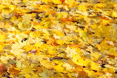 Similar image 7862314